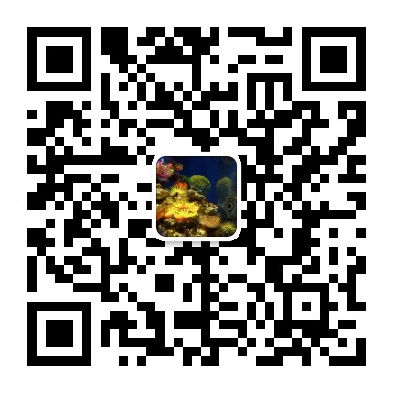 抖音养号需要注意哪方面,抖音养号技巧(图1) mmqrcode1539657600541.png